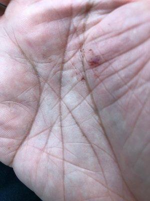 Main Street Xpress Wash