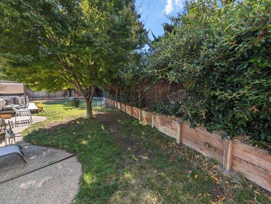 Dsoto Tree & Arborist Services