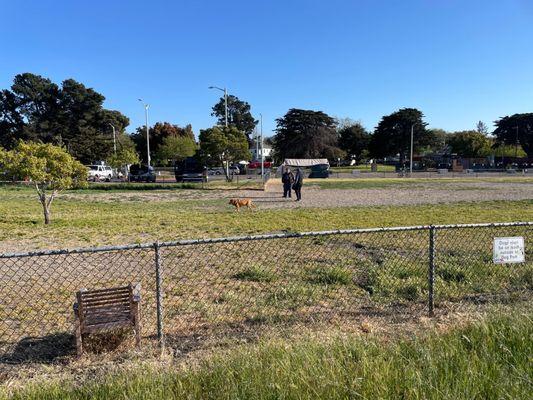 Main Street Dog Park