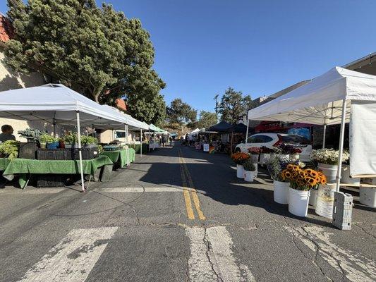 Toluca Lake Farmers Market is back! Bigger and in a better spot (across from Trader Joe's/Sundays)