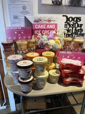 K9 Lifestyle Doggie Daycare