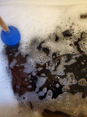 First wash in my tub - water is disgusting!