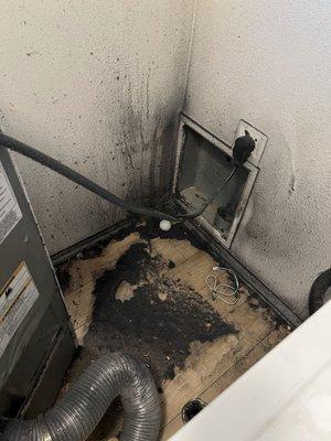 Pure Prestige Cleaning