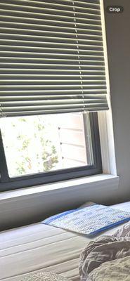 Riverlodge Apartments