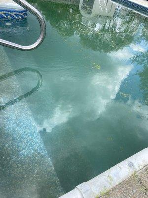 Crystal Pool and Spa