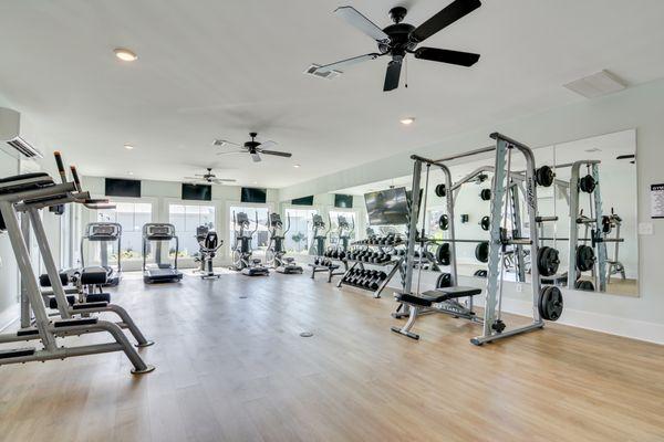 State of art gym equipment including TRX stations