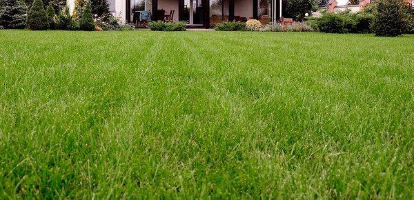 Redwood Lawn Service