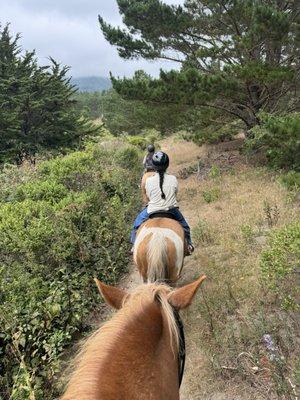 Nice trail ride in the coastal hills from Moss Beach Ranch