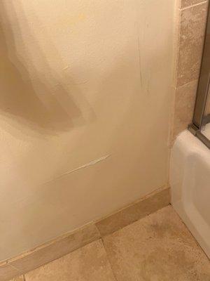 Master bathroom wall.