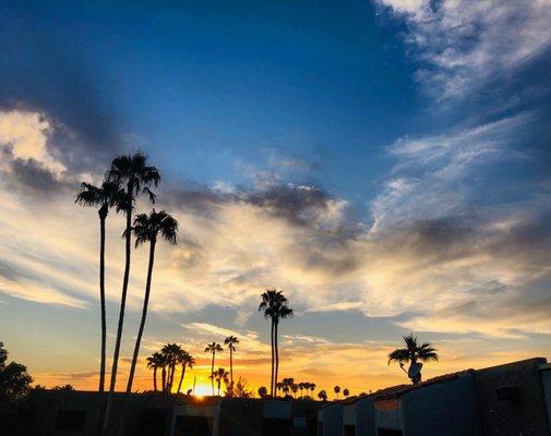 The view from unit 42