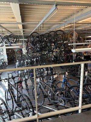 Gregg's Bellevue Cycle