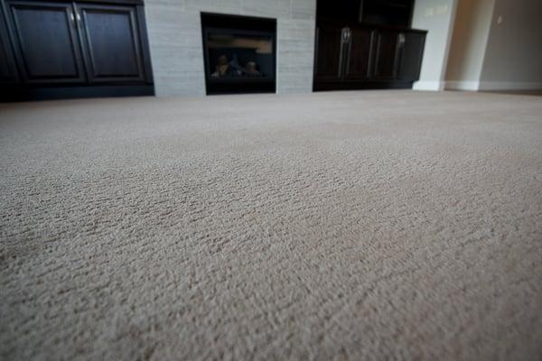 Colter Carpet Cleaning