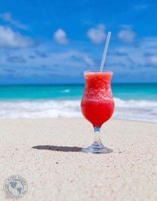 Rapid Service International Inc