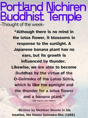 The thought of the week on their Instagram