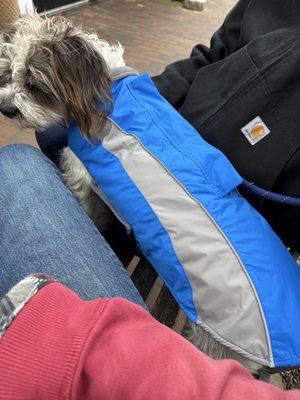 Dog jacket