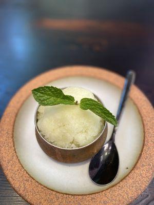 Melon sorbet