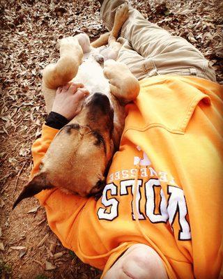 Willow Haven K9 Retreat