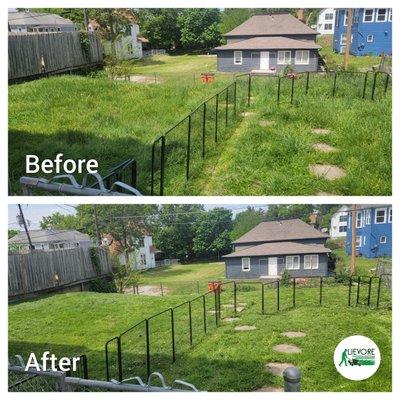 Lievore Lawn & Home Services