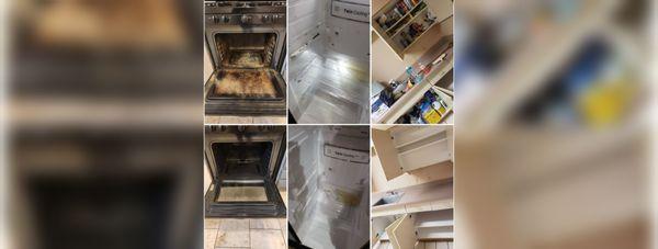 Halo's Tidy Cleaning