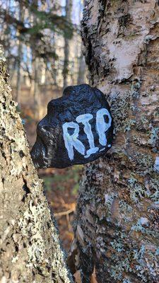 Tony Knowles Coastal Trail