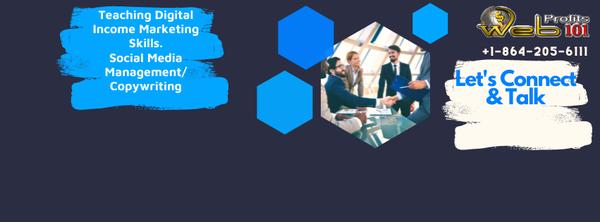 WebProfits101