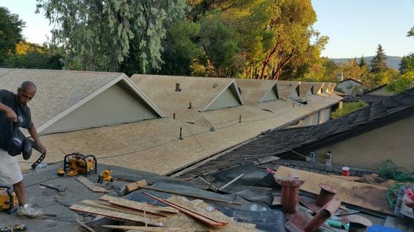 San Leandro Painting & Roofing