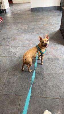 Fishtown Animal Hospital
