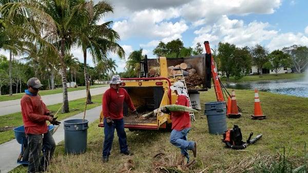 Darlin Tree Service & Debris Removal