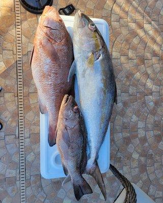 Great catch with some new friends.