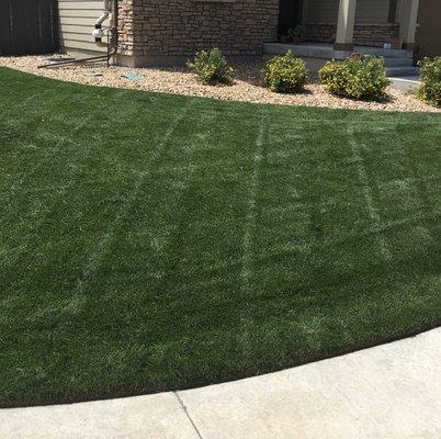 Criss- cross apple sauce.