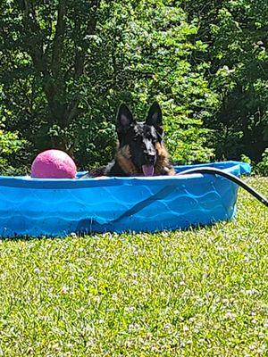 Junior's happy place