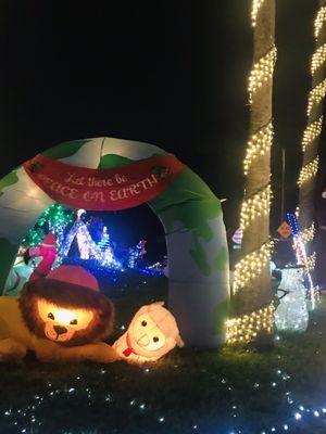 Pinellas County Christmas Lights Competition