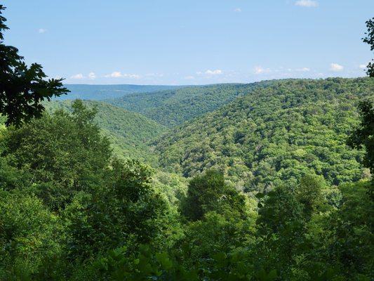 View over the Savage River State Forest