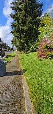 Do it Green Landscaping