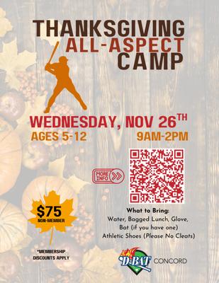 Thanksgiving All-Aspect Camp at D-BAT Concord