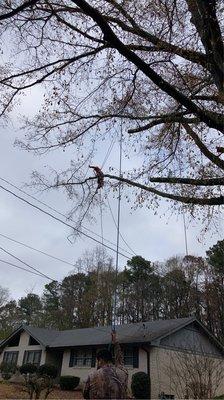 L & H Tree Service