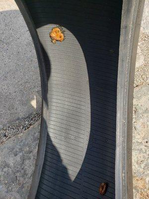 This is the crap they sell you when you aren't looking..