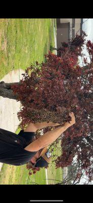 Next Generation Pest Control offers expert bee removal in Turlock & surrounding areas. Call today for safe, professional service!