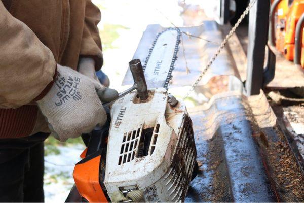 Toenyan Tree Service