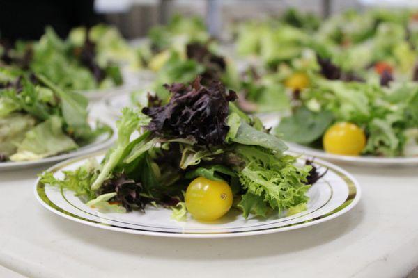 Fresh Salad