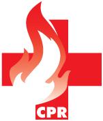 Offering the best prices in the Twin Cities. We'll even come to you!