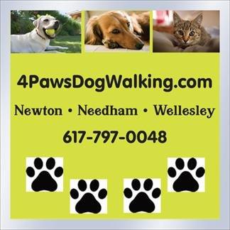 4 Paws Dog Walking & Pet Sitting
