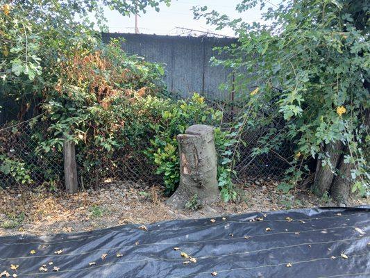 A1 Handyman & Cleanup