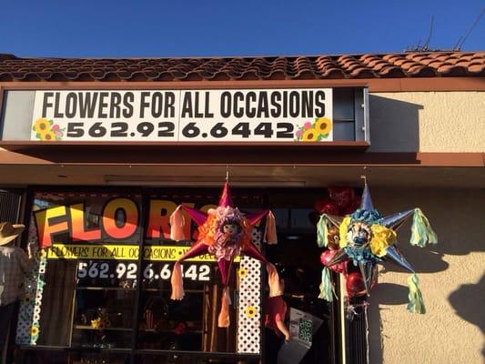 Elegancia Floral Designs