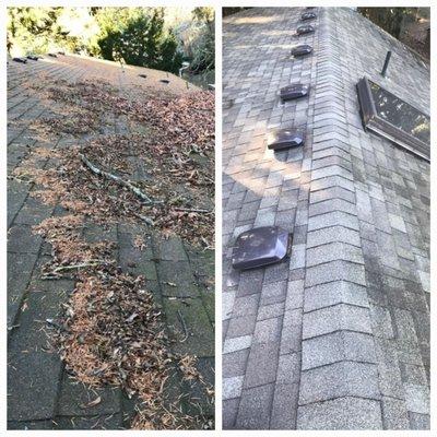 Terrabella Landscape