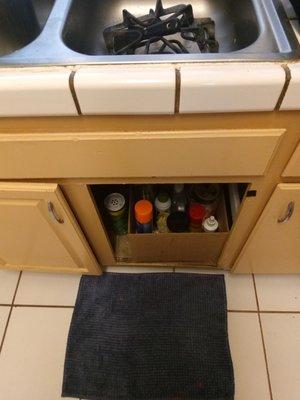 First Team Real Estate