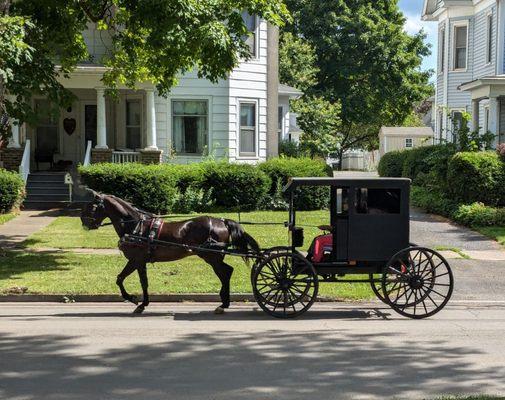 Trimmer House Bed & Breakfast