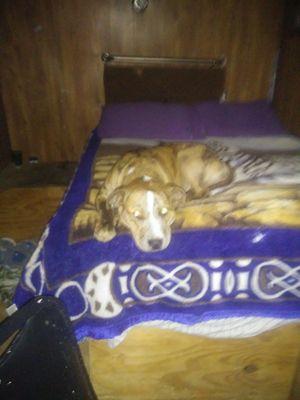 Awesome Sauce Cleaning