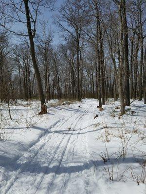 Laurel Hill Nordic Ski Patrol