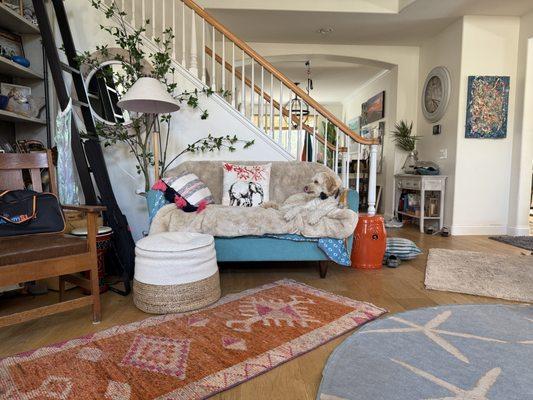 Designer Stones and Homes